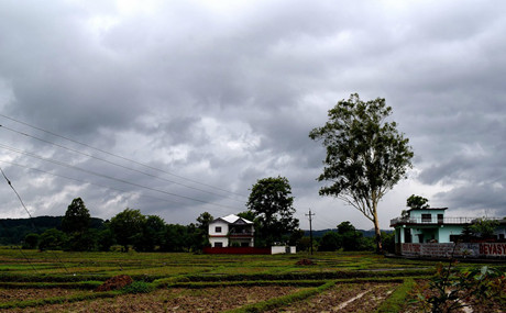 下雨前的农村一景