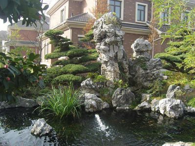 别墅庭院的假山与鱼池
